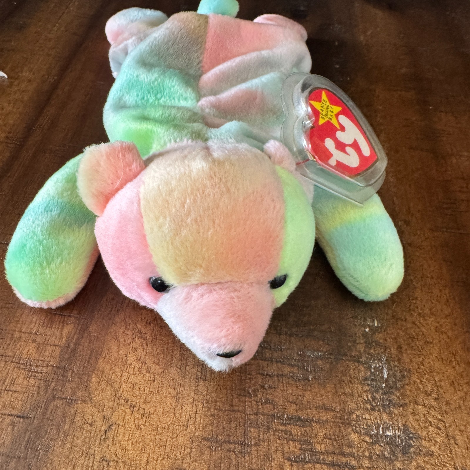 TY Beanie Baby  "Sammy". DOB: 07-23-1998 Tie Dye Multicolor — photo 1