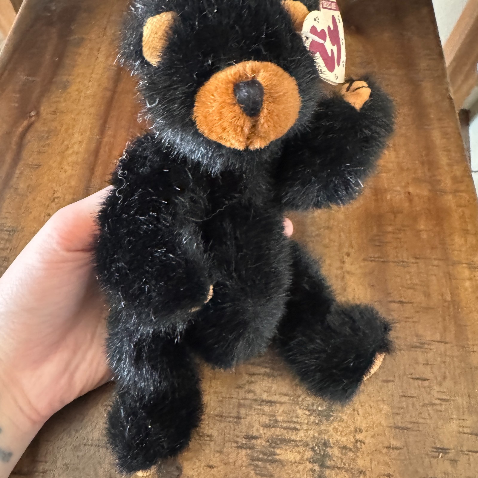 Ty Beanie Baby Ivan 8" Jointed Black Bear 1993 The Attic Treasures Collection — photo 1