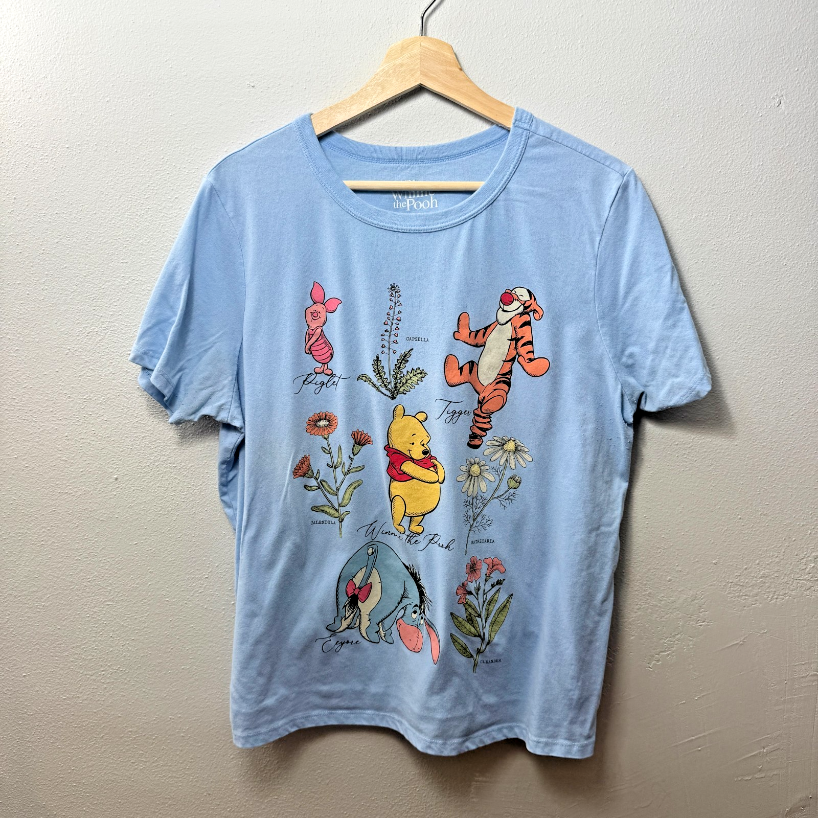 VINTAGE Winnie Pooh T Shirt Size XL Disney Blue Graphic Comfy Casual Women's Tee — photo 1